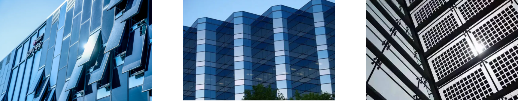 新利luck18(中国)体育·官方网站