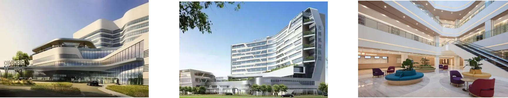 新利luck18(中国)体育·官方网站