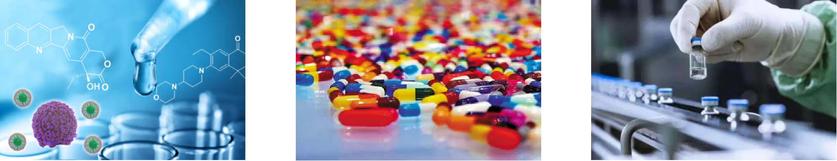 新利luck18(中国)体育·官方网站