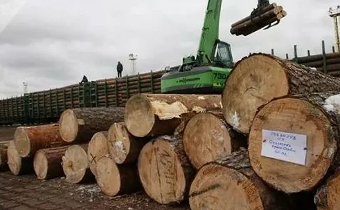 新利luck18(中国)体育·官方网站