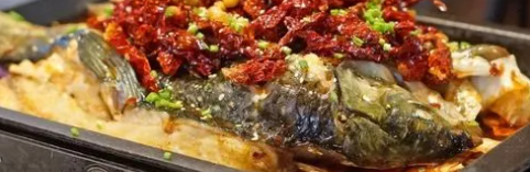 新利luck18(中国)体育·官方网站