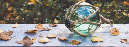 新利luck18(中国)体育·官方网站