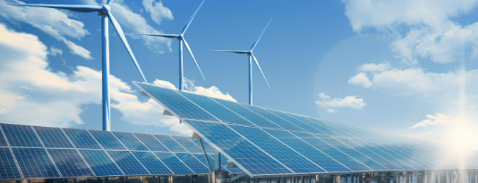 新利luck18(中国)体育·官方网站