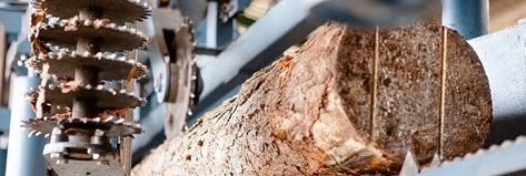 新利luck18(中国)体育·官方网站