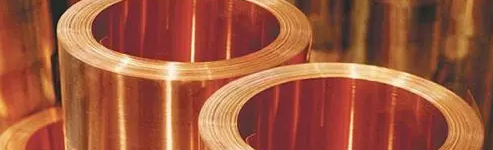 新利luck18(中国)体育·官方网站