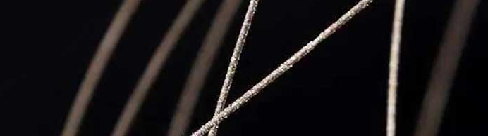 新利luck18(中国)体育·官方网站