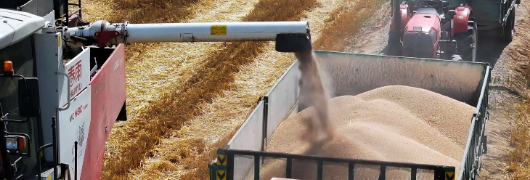 新利luck18(中国)体育·官方网站