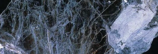 新利luck18(中国)体育·官方网站