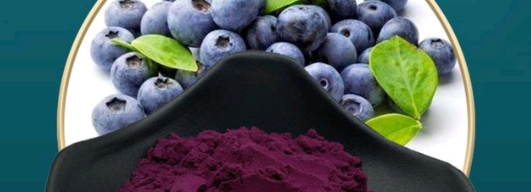 新利luck18(中国)体育·官方网站