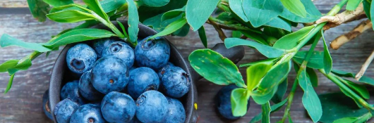 新利luck18(中国)体育·官方网站