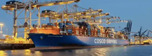 新利luck18(中国)体育·官方网站