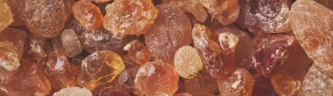 新利luck18(中国)体育·官方网站