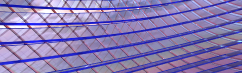 新利luck18(中国)体育·官方网站