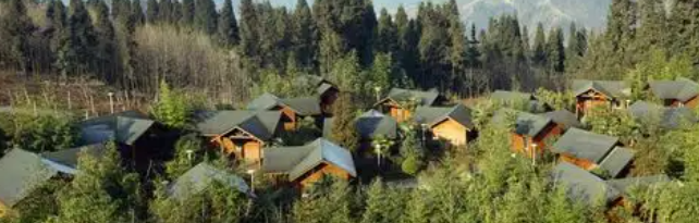 新利luck18(中国)体育·官方网站