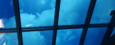 新利luck18(中国)体育·官方网站