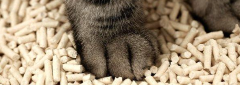 新利luck18(中国)体育·官方网站