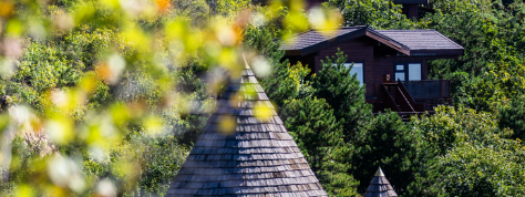 新利luck18(中国)体育·官方网站