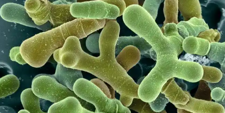 新利luck18(中国)体育·官方网站