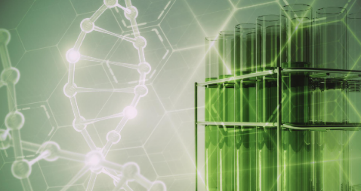 新利luck18(中国)体育·官方网站