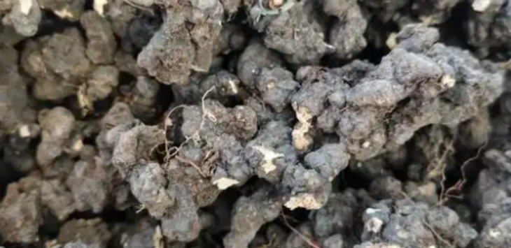 新利luck18(中国)体育·官方网站