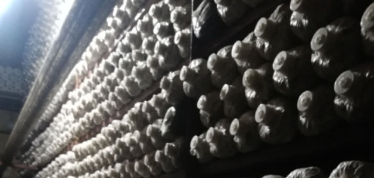 新利luck18(中国)体育·官方网站