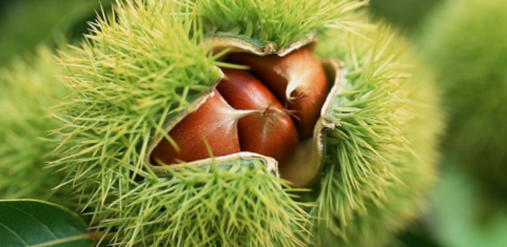 新利luck18(中国)体育·官方网站