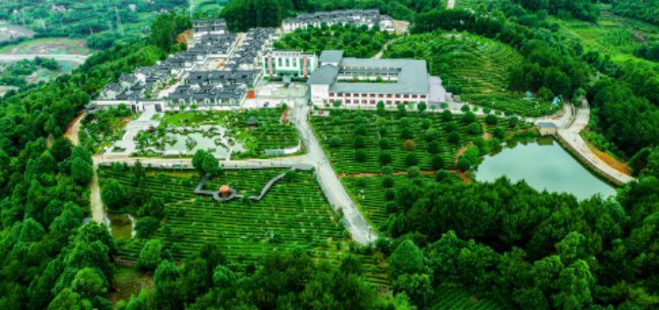 新利luck18(中国)体育·官方网站