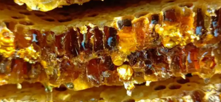 新利luck18(中国)体育·官方网站