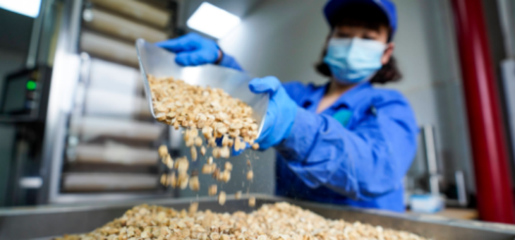 新利luck18(中国)体育·官方网站