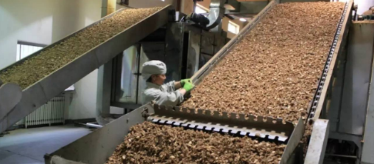 新利luck18(中国)体育·官方网站