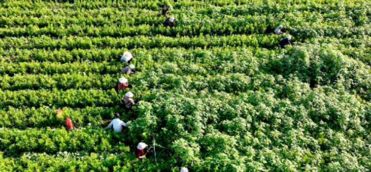 新利luck18(中国)体育·官方网站