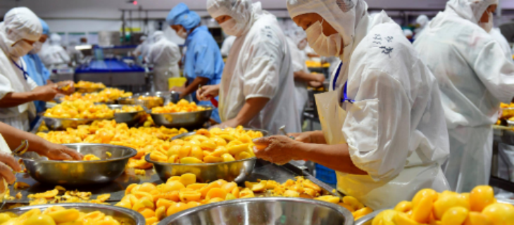 新利luck18(中国)体育·官方网站