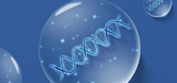 新利luck18(中国)体育·官方网站