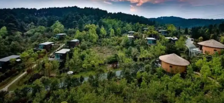 新利luck18(中国)体育·官方网站